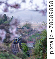 水郡線、桜の額装 78089858