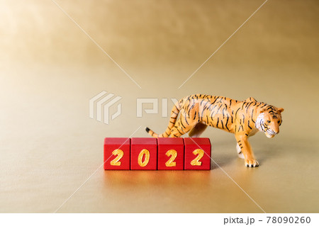 虎のミニチュアと文字ブロック2022 虎のミニチュアと文字ブロック2022 78090260