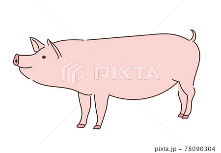 豚 ぶた イラスト 養豚のイラスト素材