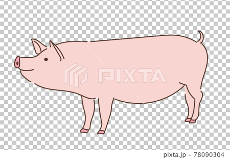 豚 ぶた イラスト 養豚 豚 ぶた イラスト 養豚 78090304