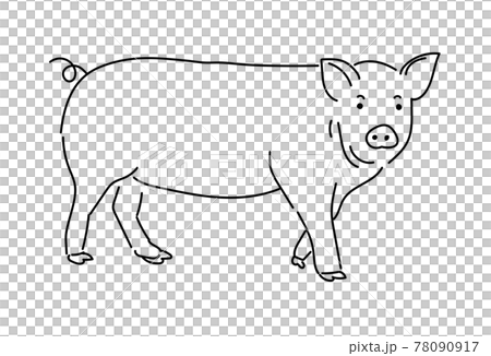ぶた　豚　ブタ　イラスト　養豚　家畜 78090917
