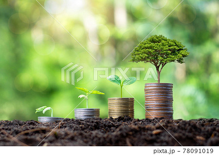 Planting and developing trees on coin pile as well as green nature background blur the concept of financial and economic growth. 78091019
