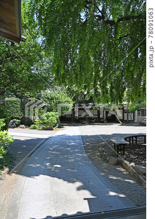 寺院：日蓮宗　常圓寺　新宿区 78091063