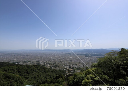 葛城山 満開のツツジ 葛城山 満開のツツジ 78091820