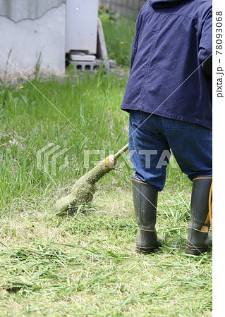 家庭用電動草刈機で庭の草刈りをする中年女性の後ろ姿 家庭用電動草刈機で庭の草刈りをする中年女性の後ろ姿 78093068