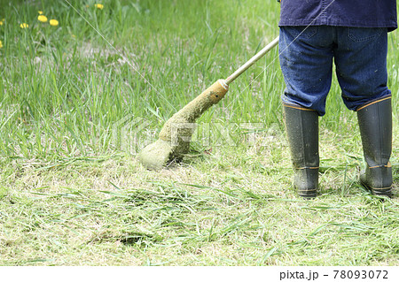 家庭用電動草刈機で庭の草刈りをする中年女性の足元 78093072