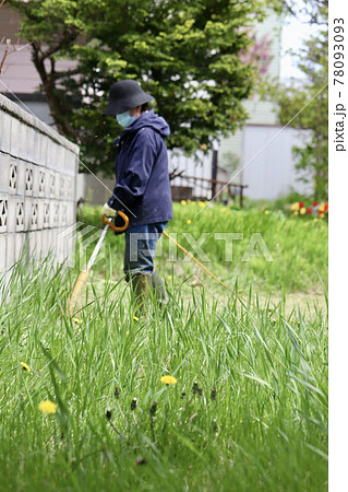 家庭用電動草刈機で庭の草刈りをする中年女性 家庭用電動草刈機で庭の草刈りをする中年女性 78093093