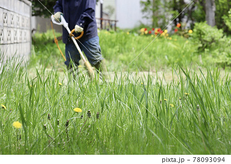 雑草越しの家庭用電動草刈機で草刈りをする女性 78093094