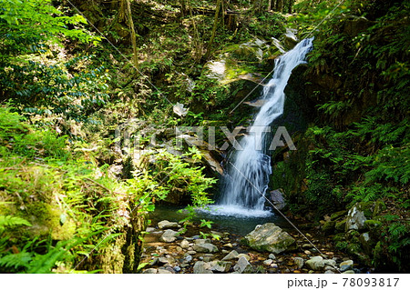 奈良・春日山原始林・鶯の滝 奈良・春日山原始林・鶯の滝 78093817