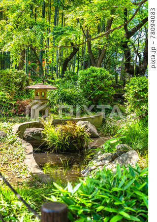 東京の都市風景 等々力渓谷公園 日本庭園 東京の都市風景 等々力渓谷公園 日本庭園 78094083