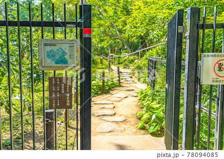 東京の都市風景 等々力渓谷公園 日本庭園入口 東京の都市風景 等々力渓谷公園 日本庭園入口 78094085