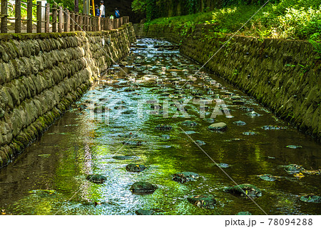 東京の都市風景 等々力渓谷周辺の風景 78094288