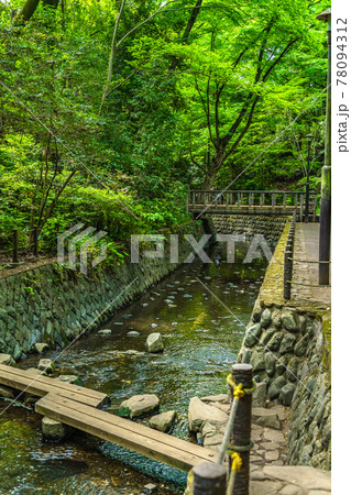 東京の都市風景 等々力渓谷周辺の風景 78094312