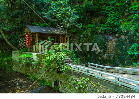東京の都市風景 等々力渓谷周辺の風景 78094434