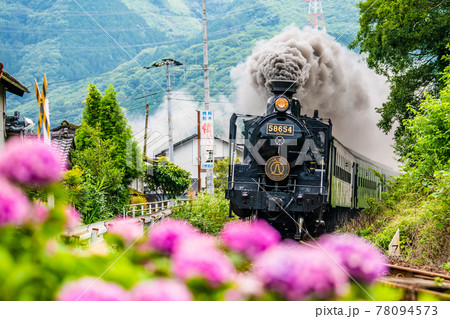 あじさいと蒸気機関車 78094573