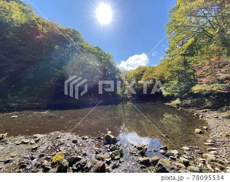 秋晴れが気持ちよい池のほとり 78095534