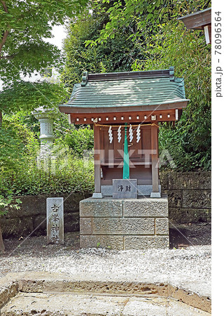 赤羽八幡神社（赤羽） 78096564