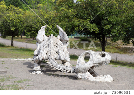 トリムパークかなづ トリムザウルス(福井県 あわら市) トリムパークかなづ トリムザウルス(福井県 あわら市) 78096681
