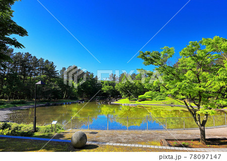 青空と庄内空港緑地公園の写真素材