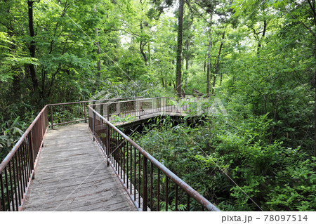 トリムパークかなづ ネイチャーゾーン 森の学校（福井県 あわら市） 78097514