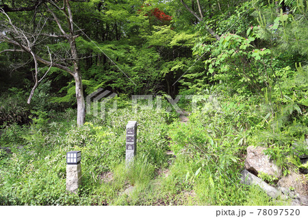 トリムパークかなづ ネイチャーゾーン 森の学校（福井県 あわら市） 78097520