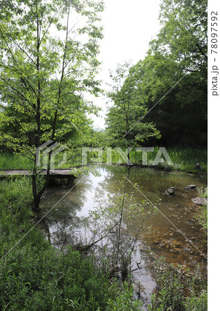 トリムパークかなづ ネイチャーゾーン ビオトープ園（福井県 あわら市） 78097592