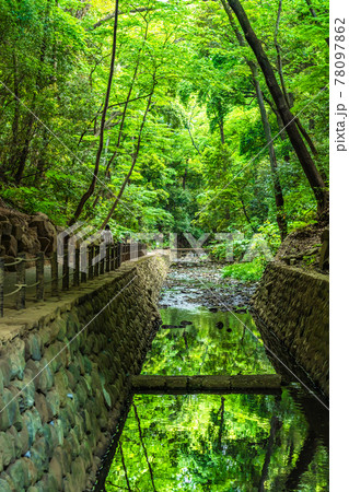 東京の都市風景 等々力渓谷周辺の風景 東京の都市風景 等々力渓谷周辺の風景 78097862