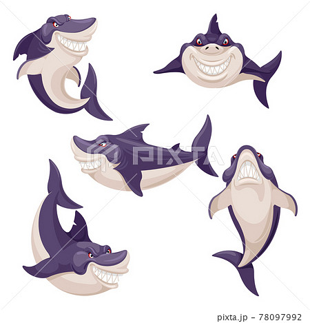Cute shark. Dangerous fish, ocean creature predator. Swimming smiling sharks mascot. Isolated vector characters 78097992