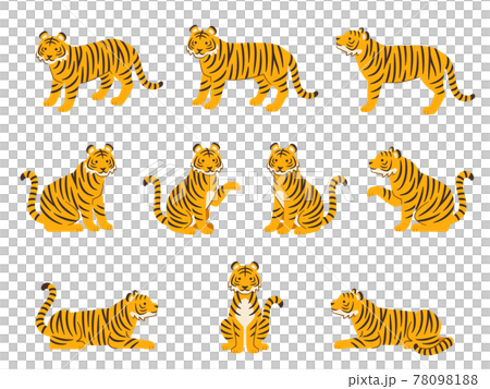 Illustration set of tigers in various poses 78098188