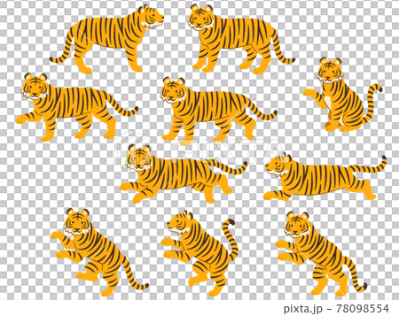 Tiger Pattern Stock Illustrations – 56,683 Tiger Pattern Stock