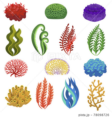 images of cartoon coral