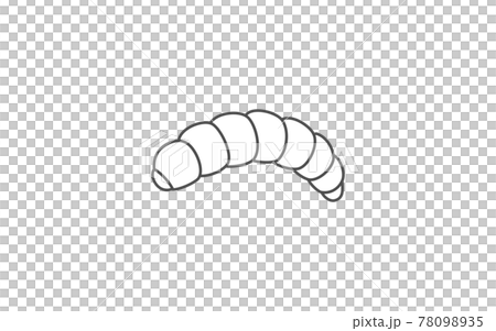 幼蟲，昆蟲食物可以吃的昆蟲 78098935