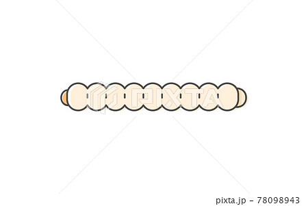 竹虫、昆虫食で食べられる昆虫 78098943