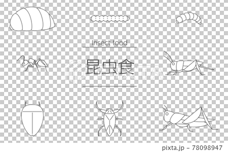一套可以和昆蟲食品一起吃的昆蟲 一套可以和昆蟲食品一起吃的昆蟲 78098947