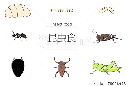 昆虫食で食べられる虫のセットのイラスト素材