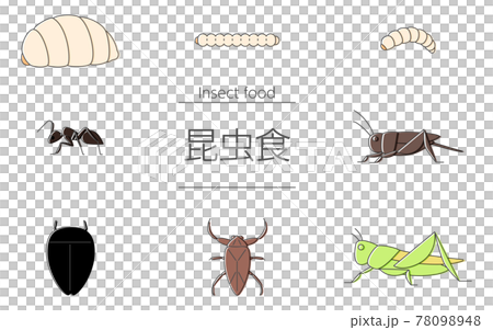 一套可以和昆蟲食品一起吃的昆蟲 一套可以和昆蟲食品一起吃的昆蟲 78098948