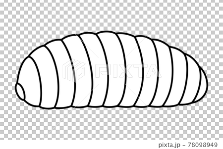 幼蟲,昆蟲食物可以吃的昆蟲 幼蟲,昆蟲食物可以吃的昆蟲 78098949