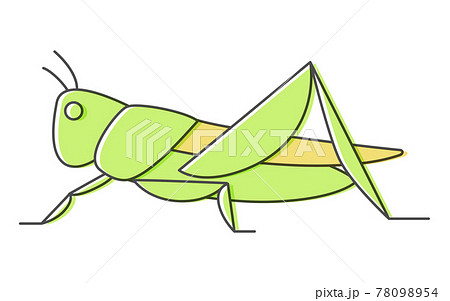 バッタ 昆虫食で食べられる昆虫のイラスト素材