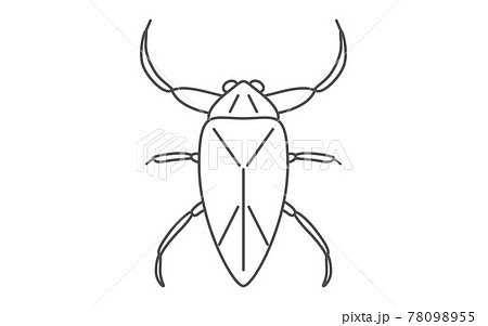 タガメ 昆虫食で食べられる昆虫のイラスト素材