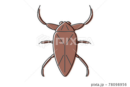 タガメ 昆虫食で食べられる昆虫のイラスト素材