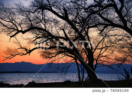 近江八幡長命寺港の夕焼け 近江八幡長命寺港の夕焼け 78099199