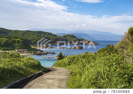 爪木崎の丘から眺めるカタンバ海岸/伊豆(静岡県下田市) 爪木崎の丘から眺めるカタンバ海岸/伊豆(静岡県下田市) 78100889