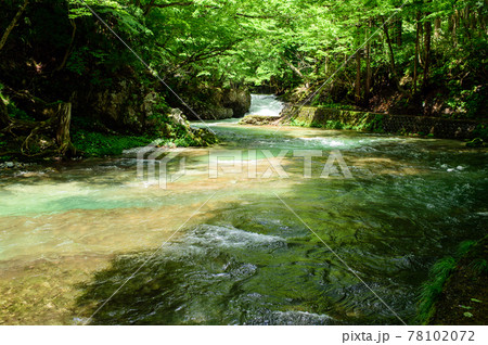 伏伸の滝散策路　秋田県 78102072