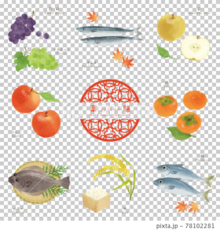 Autumn Yakuzen-2 / Hand-drawn illustrations of ingredients Autumn Yakuzen-2 / Hand-drawn illustrations of ingredients 78102281