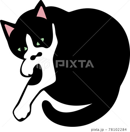 白黒ブチ猫のトット ねむいのイラスト素材