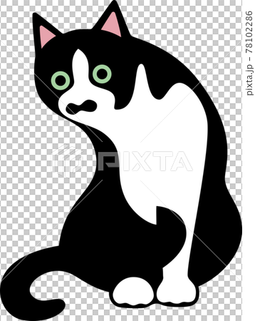 白黒ブチ猫のトット なに のイラスト素材