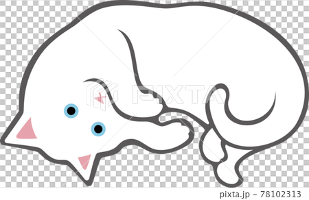 白猫シロさん ころりのイラスト素材