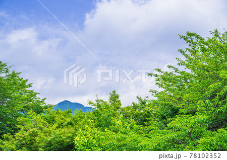 桜の新緑と背振の山 桜の新緑と背振の山 78102352