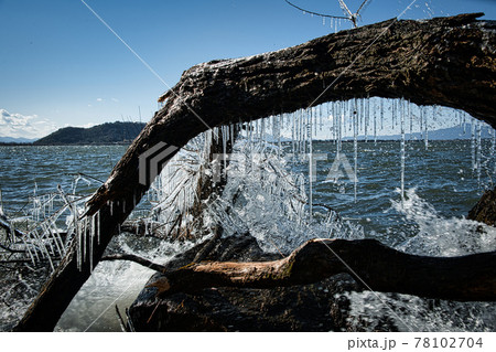 びわ湖の自然のアート「しぶき氷」 78102704