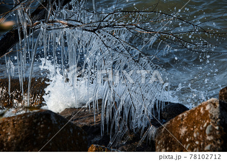 びわ湖の自然のアート「しぶき氷」 びわ湖の自然のアート「しぶき氷」 78102712